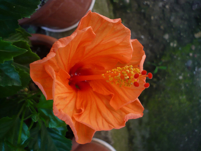 P1160161