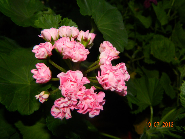 DSCN1051