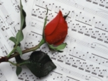 muzica-si-flori