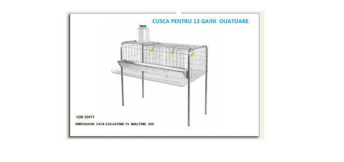 CUSCA PENTRU 12 GAINI OUATOARE - 5-CATALOG PRODUSE PENTRU  GAINI