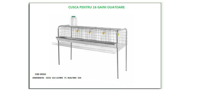 CUSCA PENTRU 16 GAINI OUATOARE