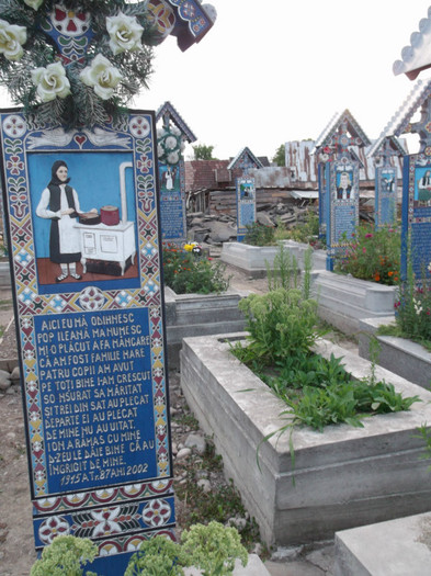 Picture 4159 - CIMITIRUL VESEL SAPANTA-UNICAT MONDIAL