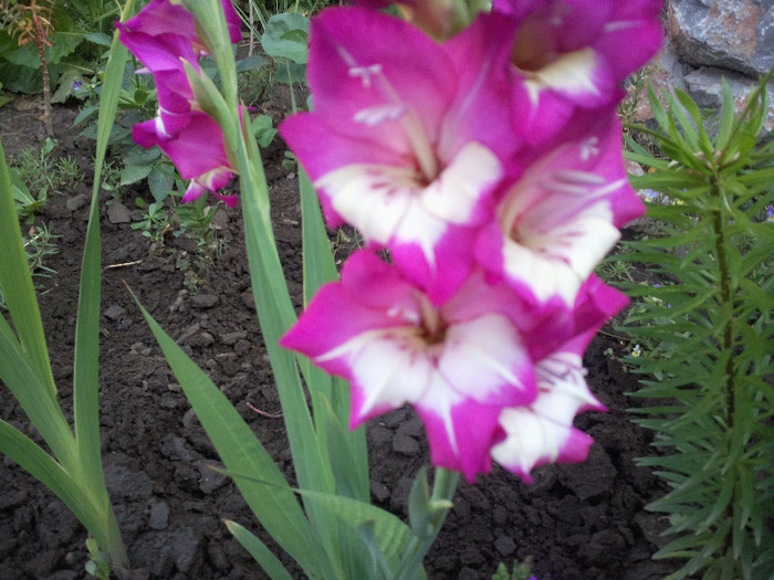 Photo002