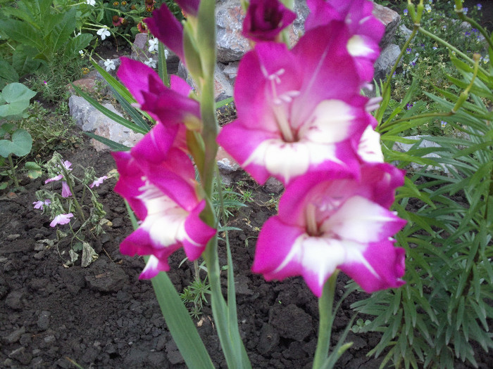 Photo004