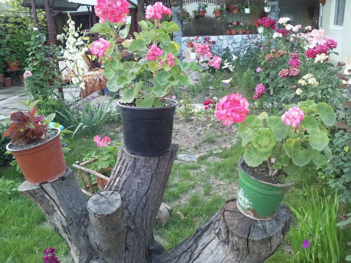 Photo042
