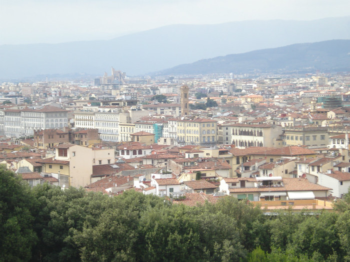 DSC05684 - Firenze 2011