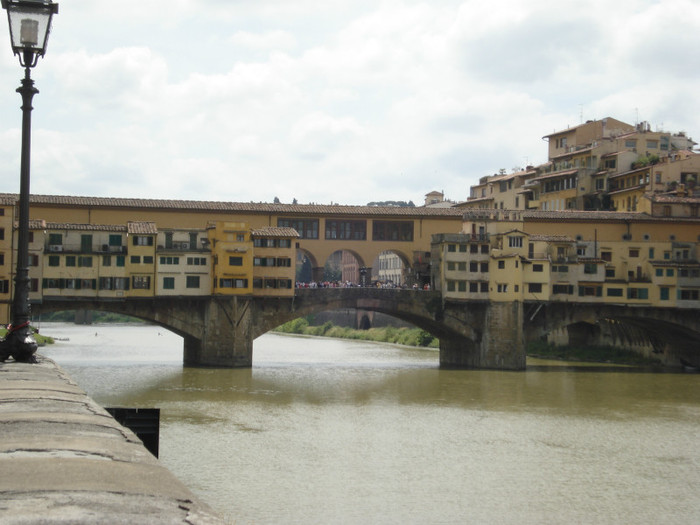 DSC05644 - Firenze 2011