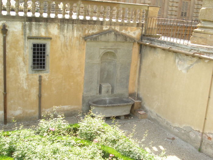 DSC05671