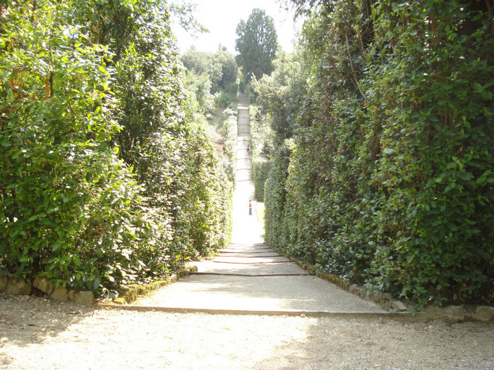 DSC05675