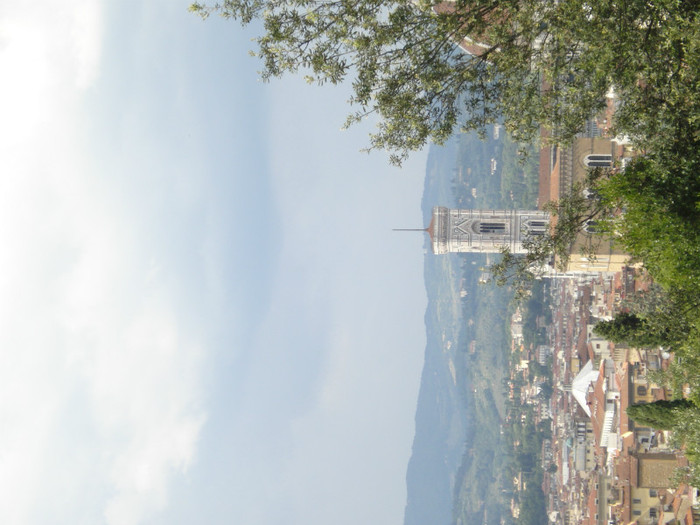 DSC05682 - Firenze 2011