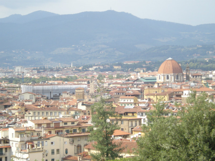 DSC05683 - Firenze 2011