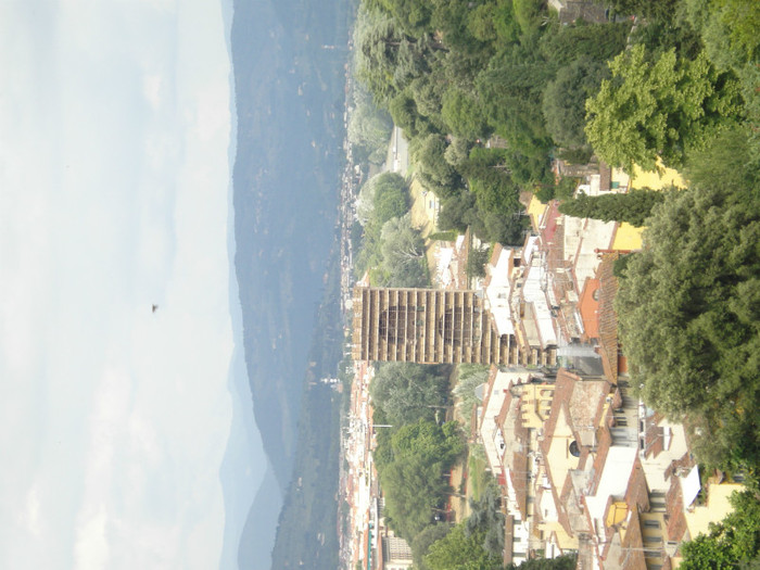 DSC05692 - Firenze 2011