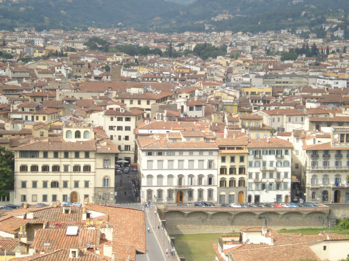 DSC05695 - Firenze 2011