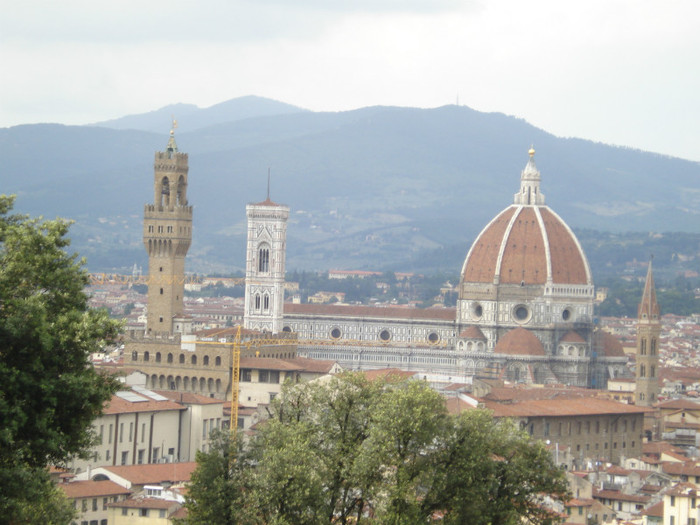 DSC05697 - Firenze 2011