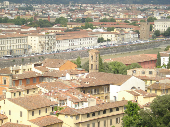 DSC05698 - Firenze 2011