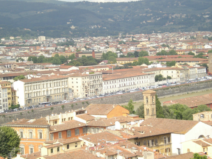 DSC05700 - Firenze 2011
