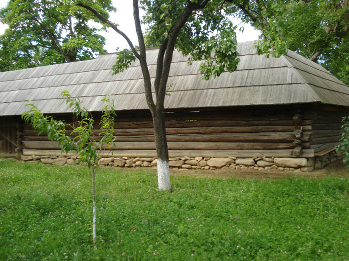 DSC05778 - Muzeul satului Bucuresti 2011