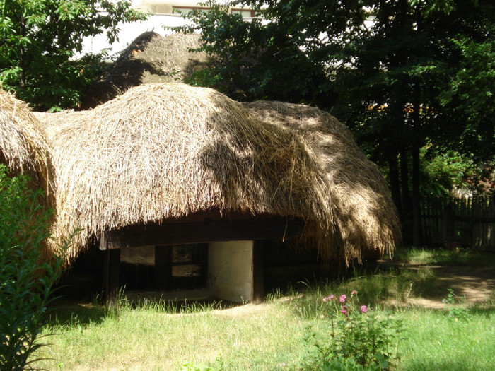 DSC05803 - Muzeul satului Bucuresti 2011