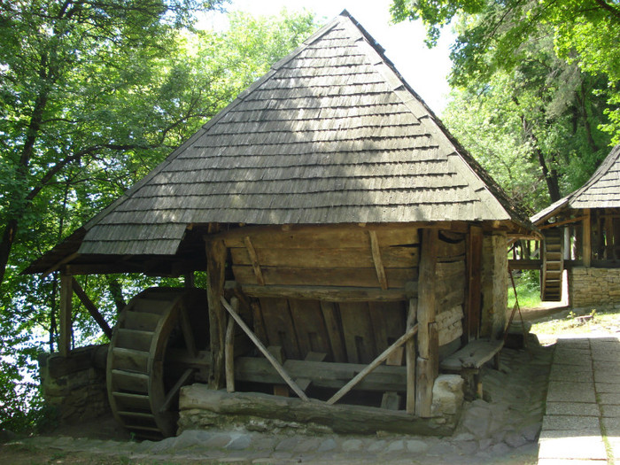 DSC05834