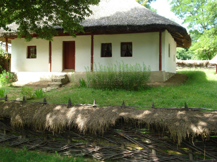 DSC05840