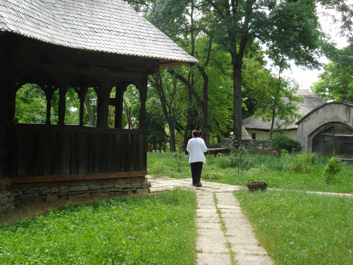 DSC05851