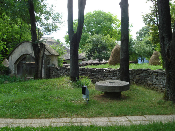 DSC05852