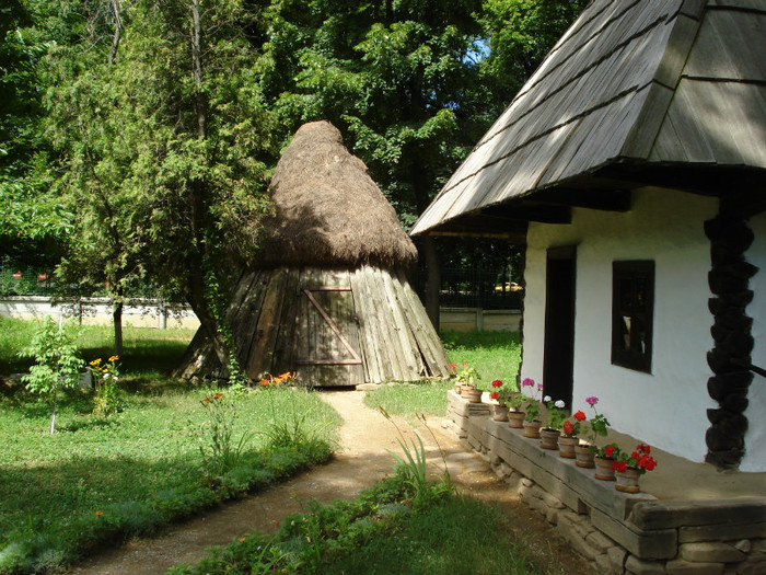 DSC05853