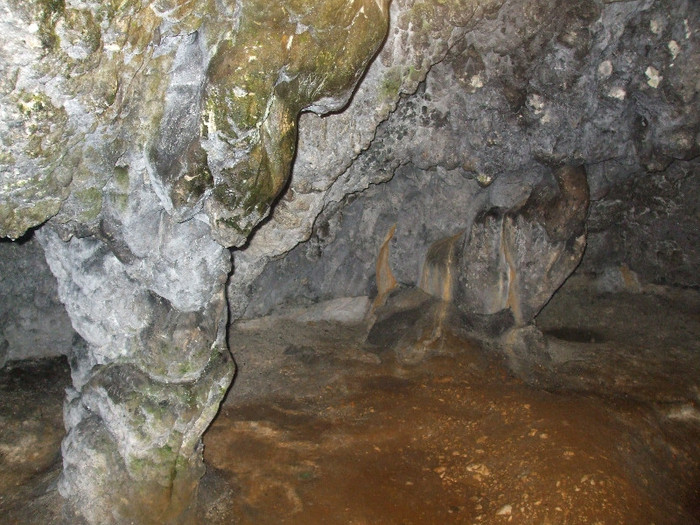 DSCF1028 - 2011 - Banchet a IV a