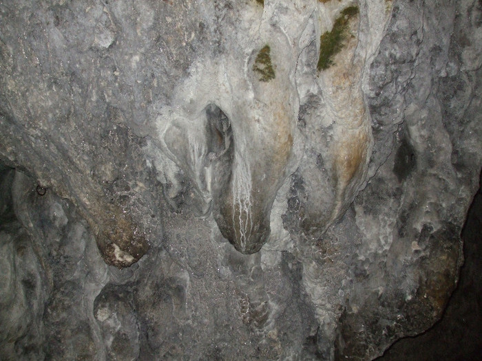 DSCF1032 - 2011 - Banchet a IV a