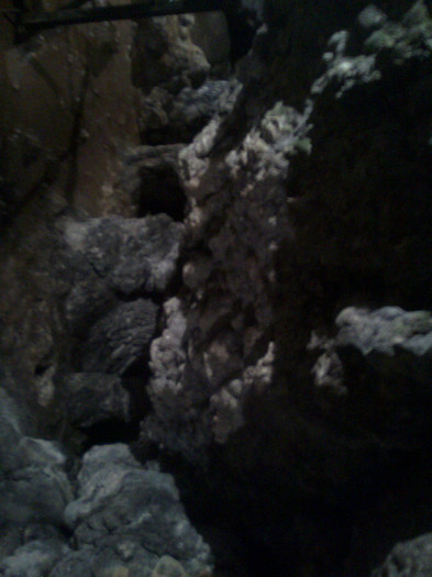 Imagine2045 - 2011 - Banchet a IV a