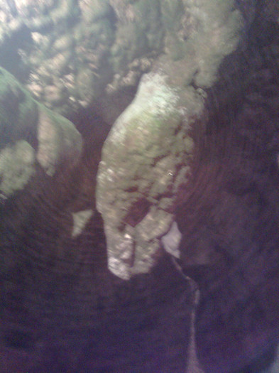 Imagine2050 - 2011 - Banchet a IV a