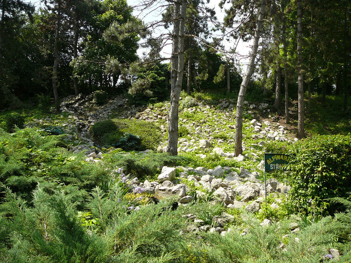 P1270131 - 2011 - Banchet a IV a