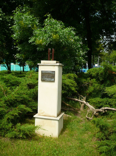 P1270182 - 2011 - Banchet a IV a