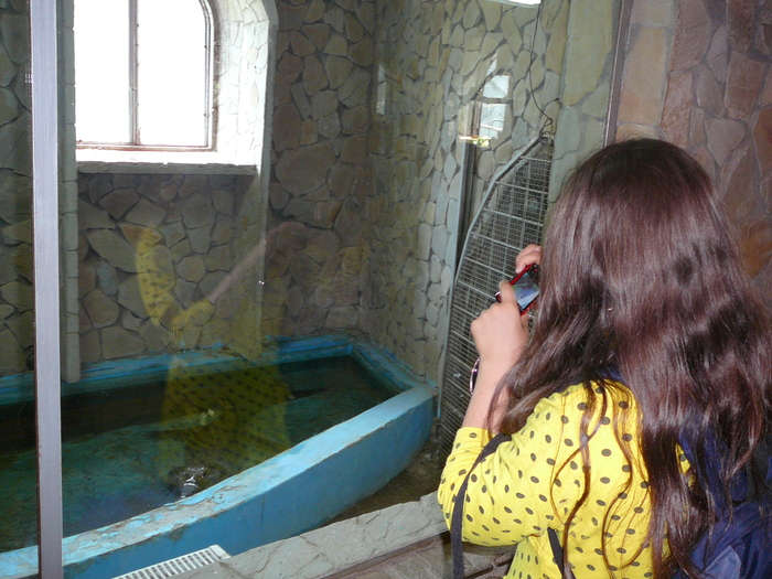 P1270204 - 2011 - Banchet a IV a