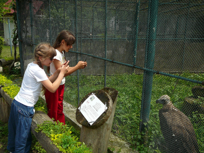 P1270220 - 2011 - Banchet a IV a