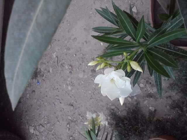P220712_20.04