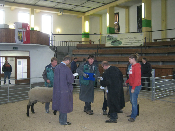 licitatie oi-capre-Wels-28-07-2012 - 7-anunt important