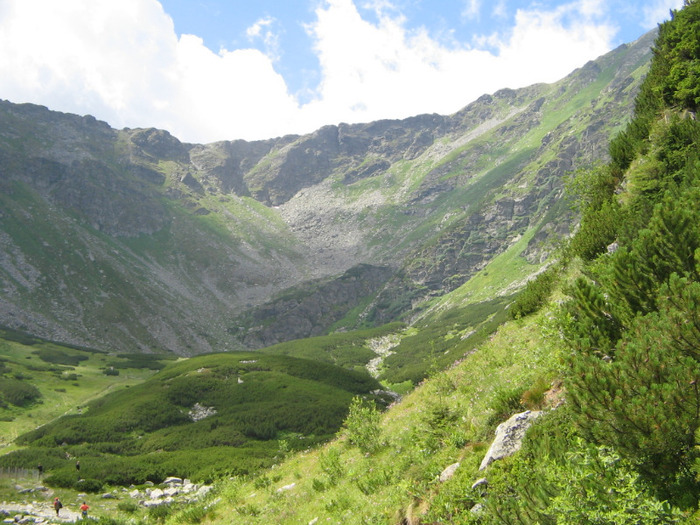 IMG_6517; În fundal se află Iezerul şi poteca de urcare spre vârful Pietrosul.
