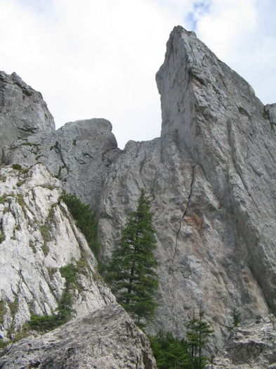 IMG_6714 - Vacanța 2012 1