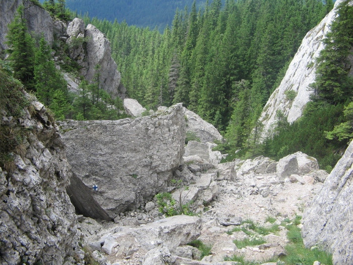 IMG_6726 - Vacanța 2012 1