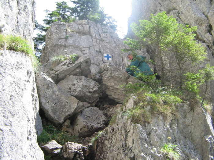 IMG_6736 - Vacanța 2012 1