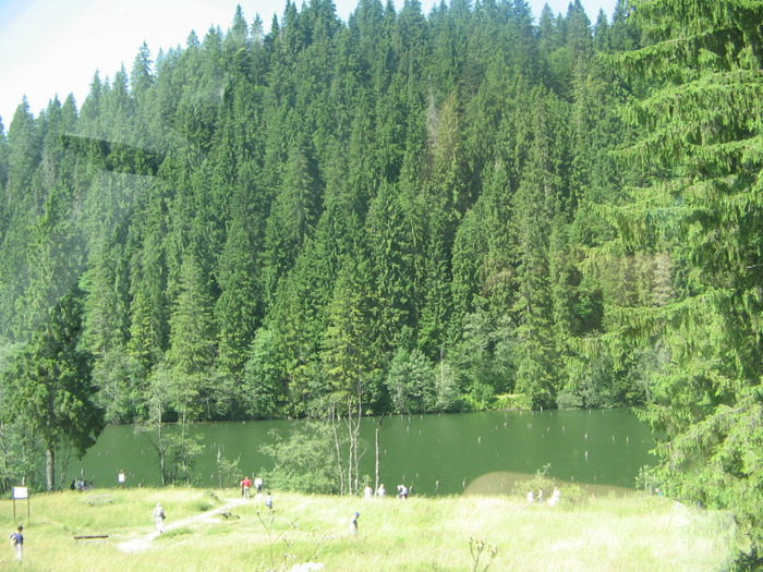 IMG_6781; Lacul Roşu.
