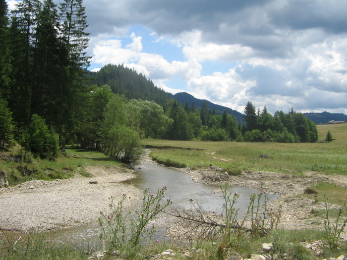 IMG_6798; Valea Bicăjelului, pe care am mers 15km până la Trei Fântâni şi de aici, pe Hăşmaşul Mare.
