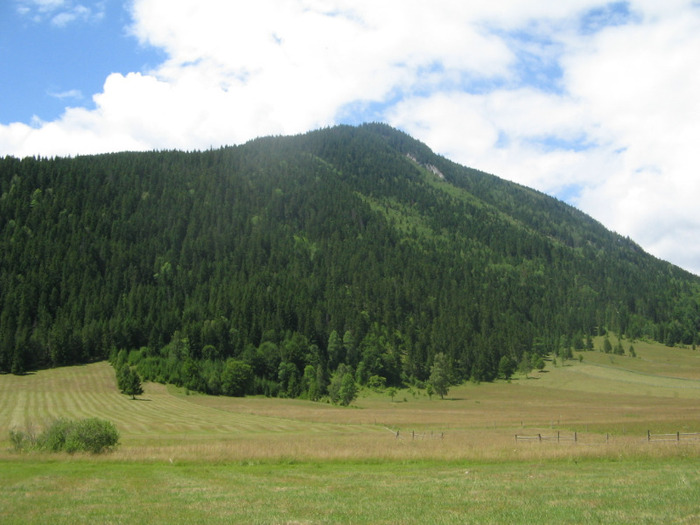 IMG_6814; Hăşmaşul Mare, văzut de la Trei Fântâni.
