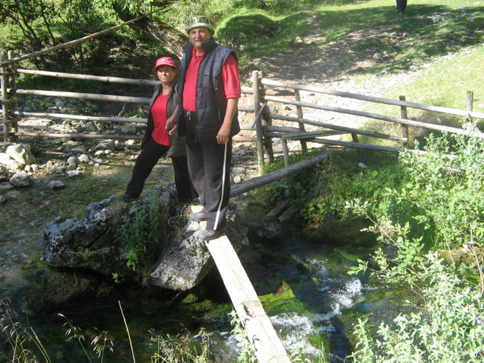 IMG_6821; Podeţ peste apele izvorului Cald.
