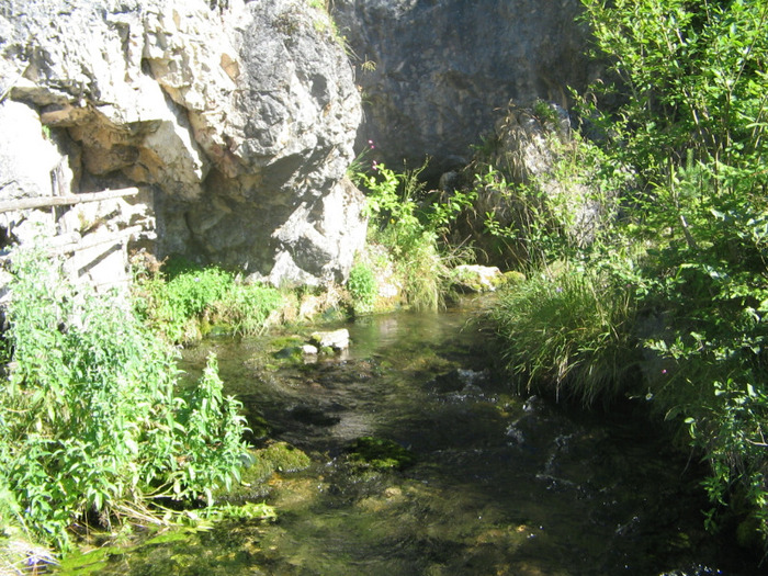 IMG_6823; Izbucul Izvorului Cald.Acesta are o temperatură constantă de 6 grade C,tot timpul anului.
