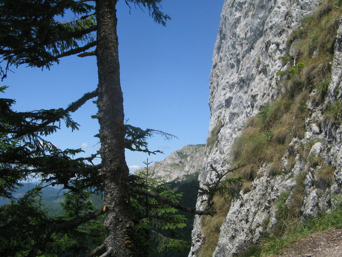 IMG_6853; În fundal Hăşmaşul Mare.
