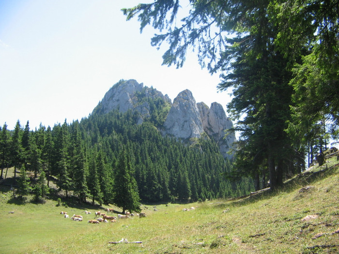 IMG_6867; Piatra Singuratică.
