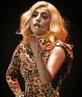 images - lady gaga