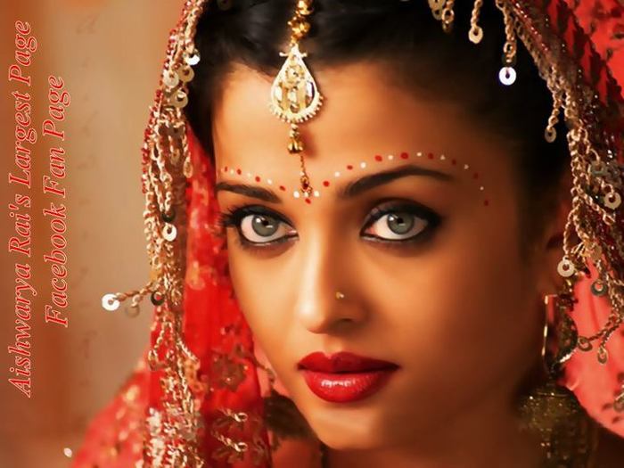 550169_407199535979862_266446045_n